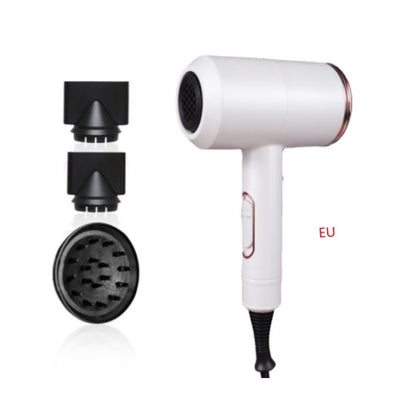 Professional Hair Dryer