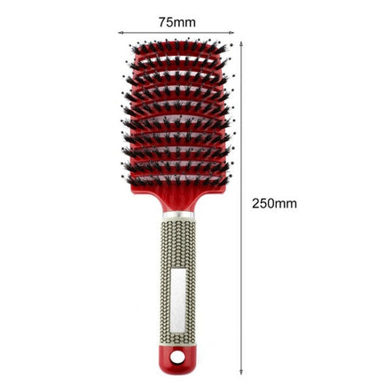 Anti Static Detangling Hair Brush
